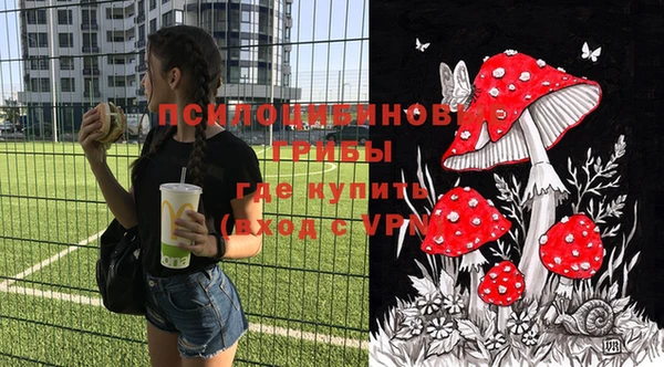 спайс Верея