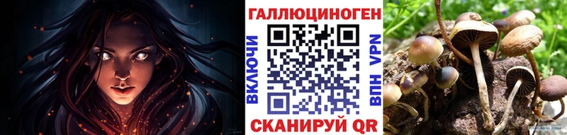 дарнет шоп  Шимановск  Галлюциногенные грибы MAGIC MUSHROOMS 