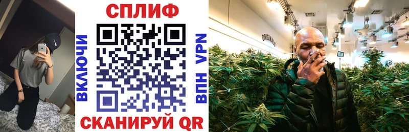 где можно купить Шимановск Бошки марихуана MAZAR